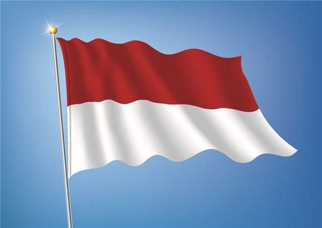 中国企业出海印尼：互联网市场重点领域[出行、工具及短视频]-老刘博客