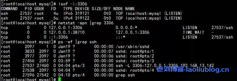 centosA查看ssh转发监听