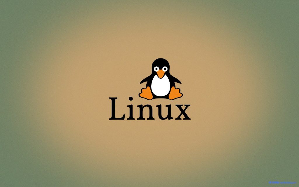 Linux服务器VPS的Windows DD包详细的制作教程-老刘博客