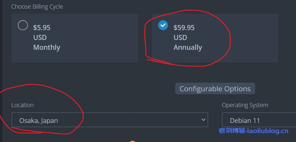 Riven Cloud日本大阪软银VPS年付39.9元!2核/1GB内存/15GB SSD空间/500GB流量/1Gbps端口/KVM
