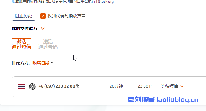 ChatGPT注册成功教程-OpenAI ChatGPT注册手机号验证成功方法